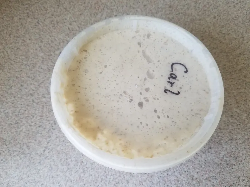 Your Sourdough Starter Smells Like a Locker Room — Here's What You Did Wrong
