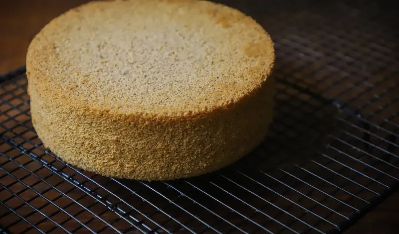 Your Oven Is a Liar and Your Uneven Cake Layers Are the Proof